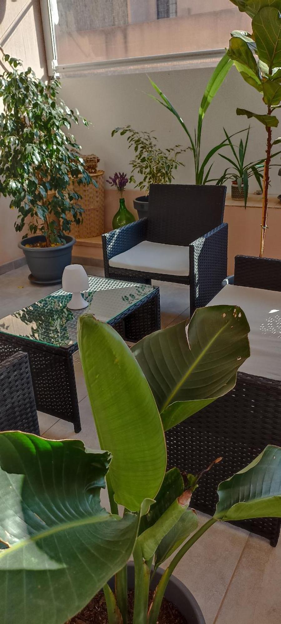 B&B Alghero Reina Bagian luar foto